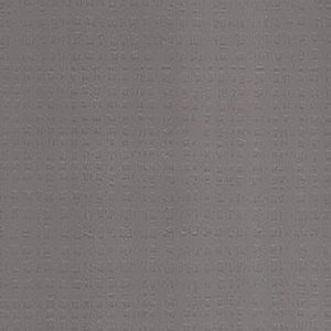 GRAY ALLIGATOR**